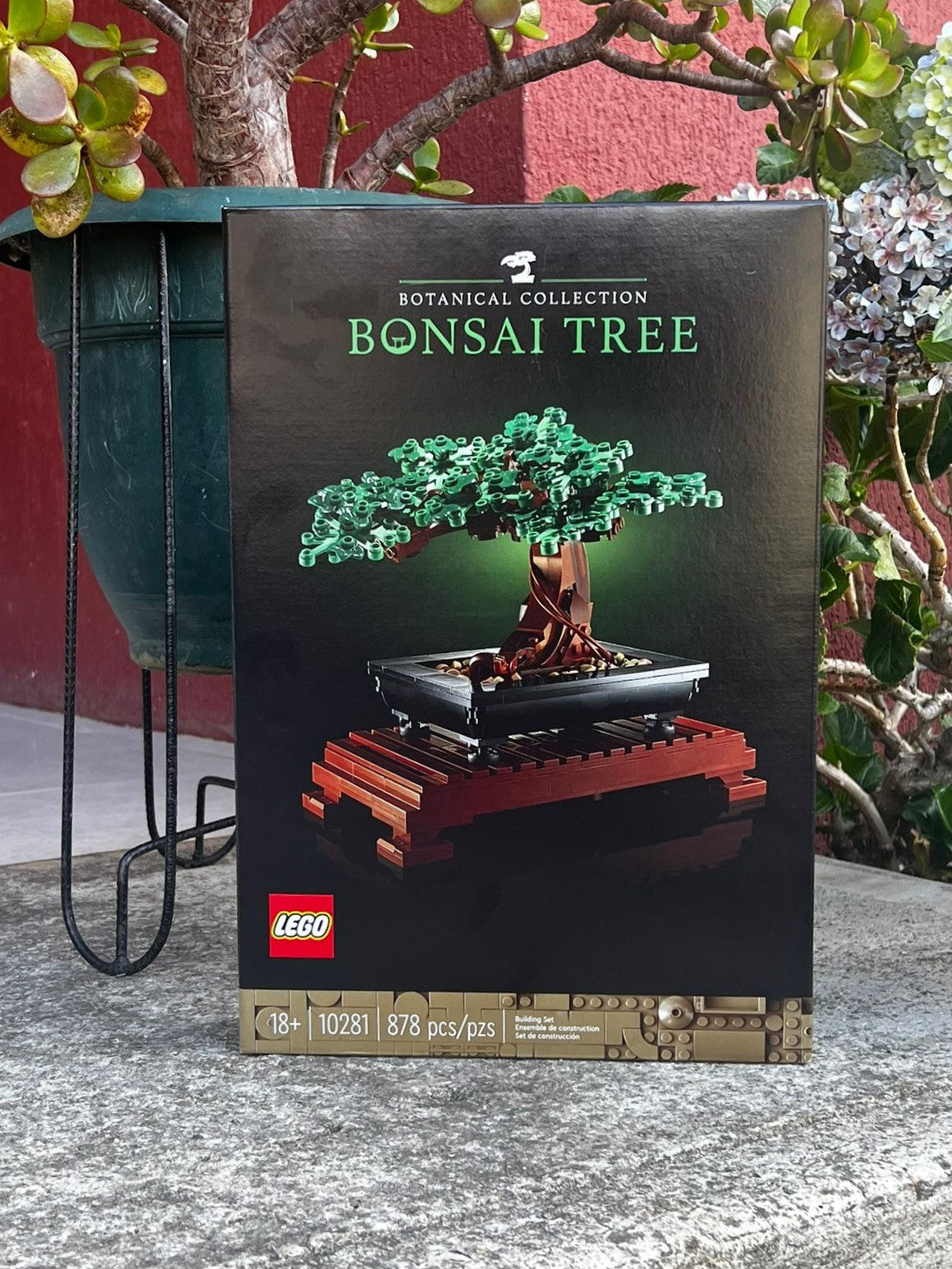 LEGO Botanical Collection: Bonsai